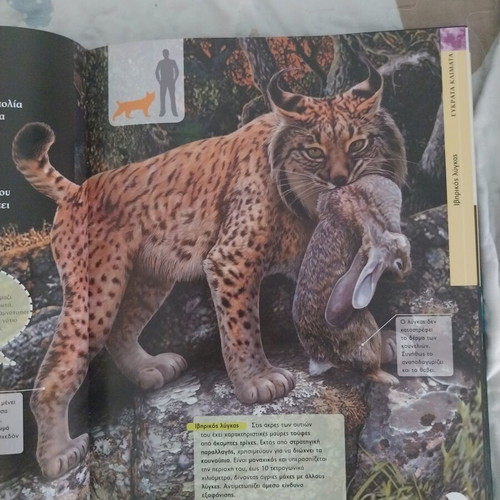 Encyclopedia of Nocturnal Animals, Susaeta