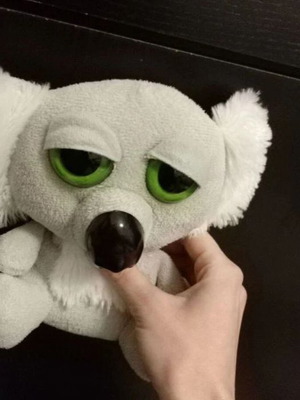 Small plush koala new