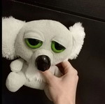 Small plush koala new