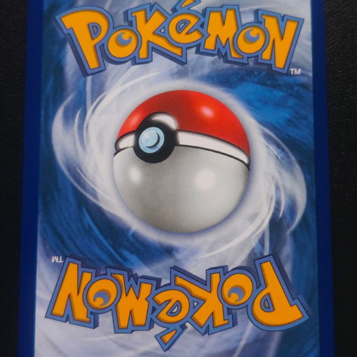 Pokemon Mega Venusaur ex 013 Black Star Promos card new