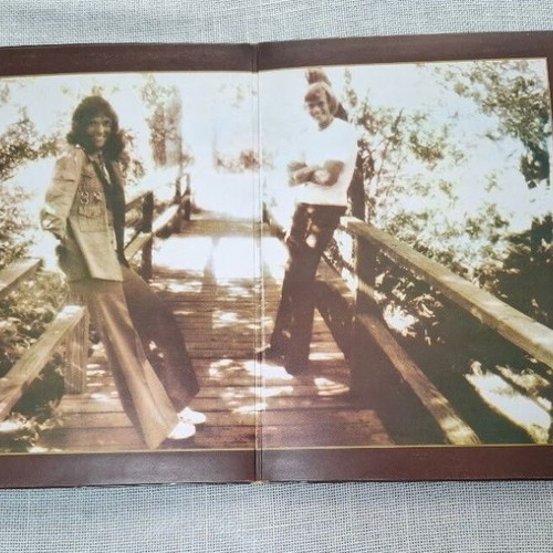 Carpenters The Singles 1969-1973 LP used, rock