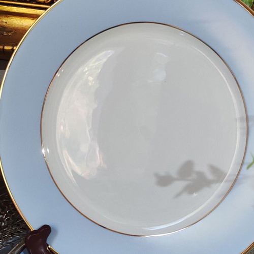 Royal Doulton porcelain dinner plates set of 6, gold rim, 25 cm