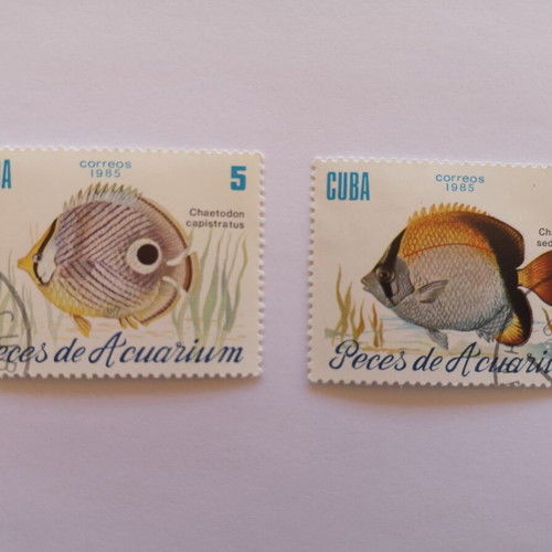 Cuba stamps 1985 used, fish