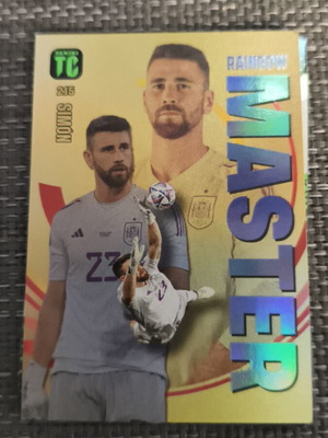 Panini Top Class 2024 No215 like new
