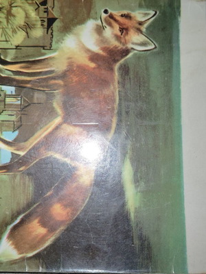 Children's book used