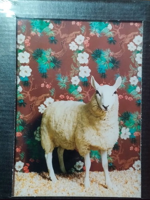 Lumas Art sheep sealed, size 14cm x 18cm