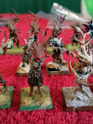 Warhammer Dryad Wood Elf's pack used