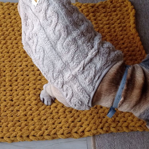 Handmade pet blanket with Alize Puffy yarn, mustard color, made to order