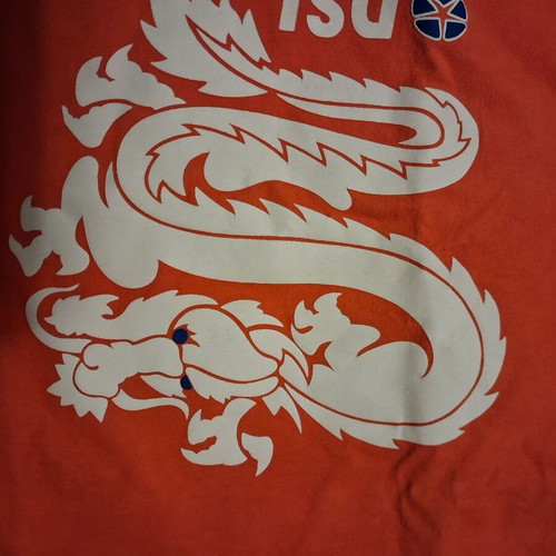 Diesel kids t-shirt like new, orange, size 8 years
