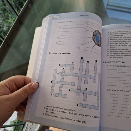 Physics Textbook Sixth Grade Used, Greek Language