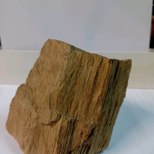 Petrified wood used, 550 grams