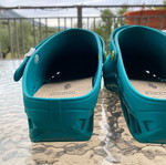 Scholl orthopedic clogs used