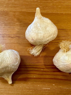 Three fake garlic bulbs like new for decoration or crafts