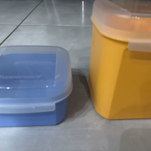Tupperware canister in two colors