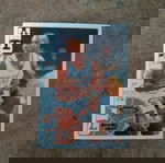  "...PANINI NBA BASKETBALL '95-'96 (No17)..."