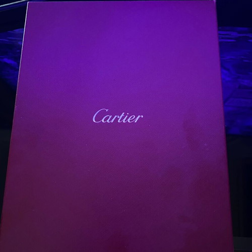 Cartier box and Dior bag with two pairs of Louboutin and Gucci cloth shoe bags used