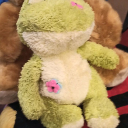 Plush frog set of 2 like new