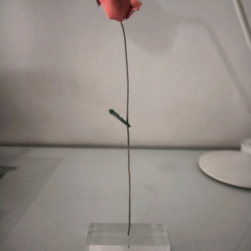 Metal rose decorative piece on plexiglas base, new
