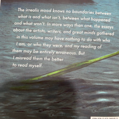 Homo irrealis book new