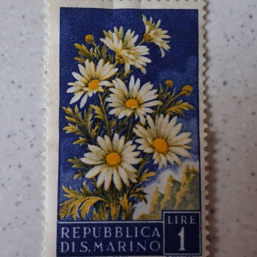 San Marino 1957 1 Lira Stamp used, daisies