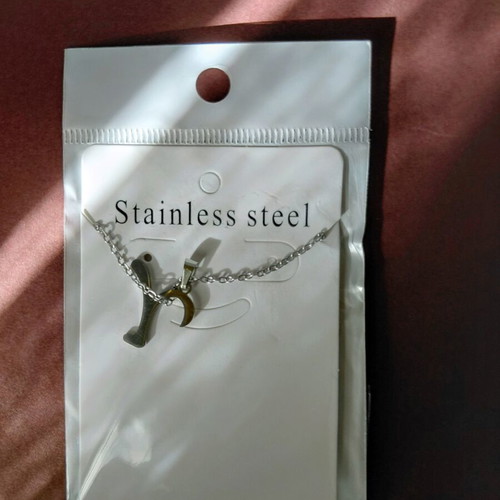 Necklace with Greek Initial Z, G or V, new, stainless steel
