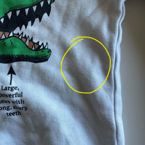 H&M Kids' Dinosaur Sweatshirt used, for 6–8 years, white