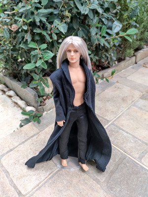 Ken doll inspired by Witcher used