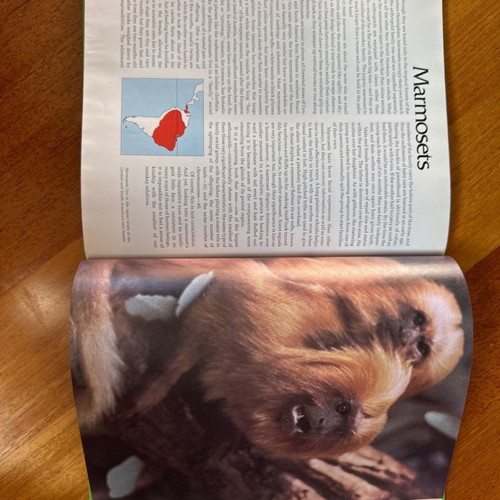 Monkeys and Apes children's book in English like new, hardcover