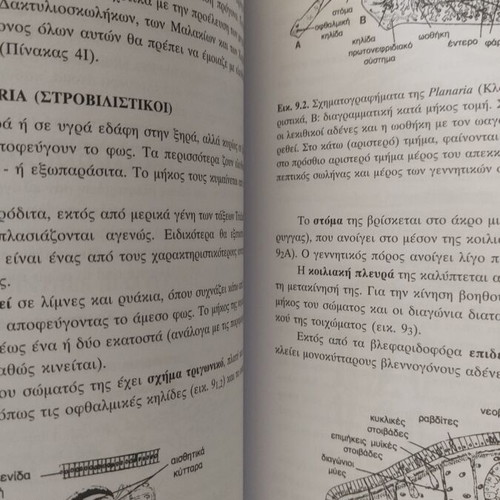 General Zoology by Maria Lazaridou-Dimitriadou like new, Greek edition 2004