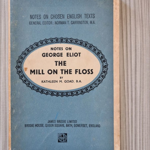 Notes on George Eliot The Mill on the Floss commentary book used