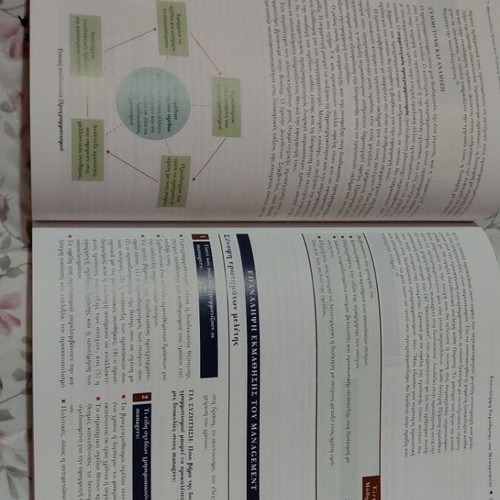 Introduction to Management book