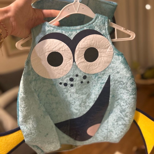 Fish Costume carnival like new
