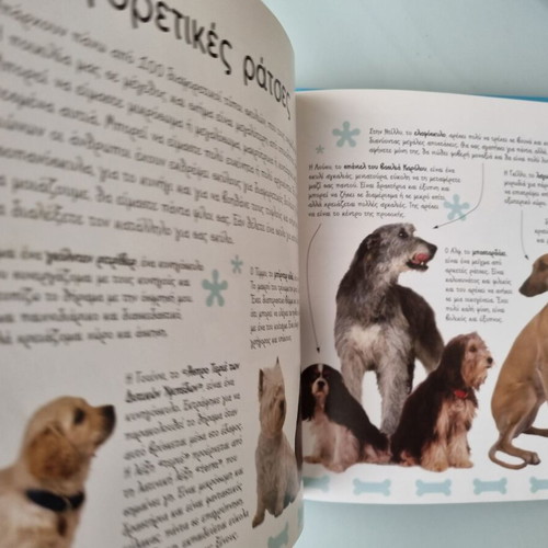 Dogs book by Heather Maisner