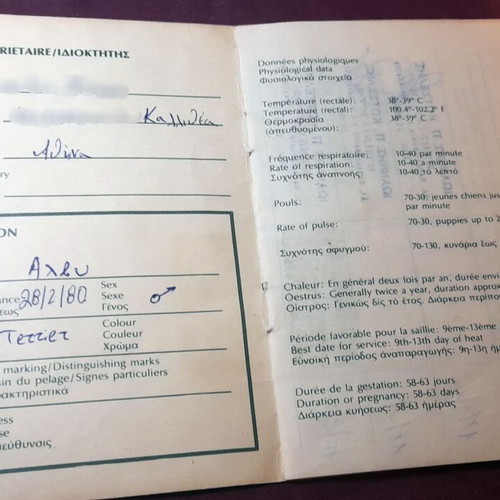 Athens Vintage Dog Vaccination Certificate 1988 like new
