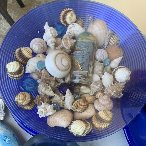 Natural Seashells Set with Bowl and Vase like new, summer decoration