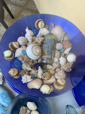 Natural Seashells Set with Bowl and Vase like new, summer decoration