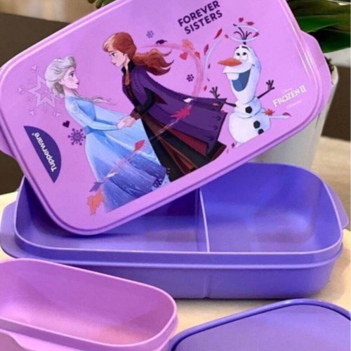 Frozen Tupperware food container set with mini insert