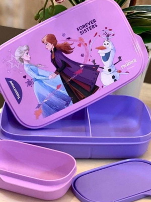 Frozen Tupperware food container set with mini insert