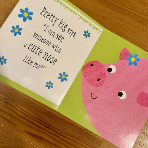 Peekaboo! English children's book like new with mirror