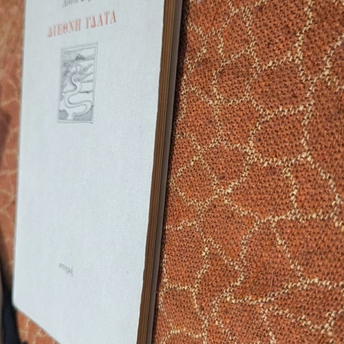 Diefthi Ydata by Leneta Strani