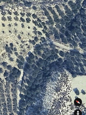 Αγροτεμάχιο 2.750 τ.μ. με 65 ρίζες ελιές στη Σταυρακιανή Καμάρα