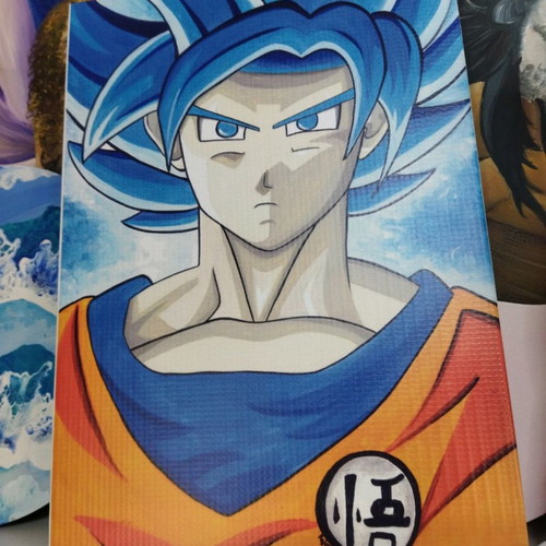 Goku canvas on stretcher like new, 24x34cm