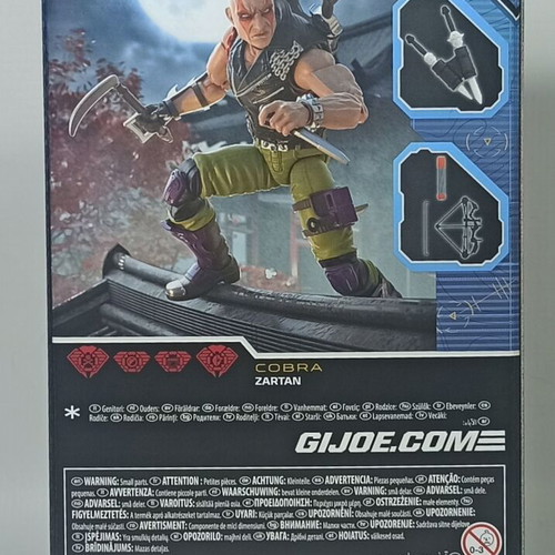 GI Joe Classified Ninja Force Zartan action figure new
