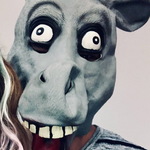 Donkey mask with big eyes like new, carnival