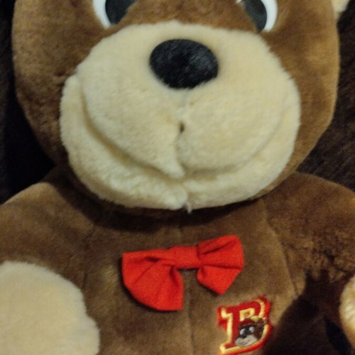 Vintage Story Telling Baby Bear plush toy used, interactive