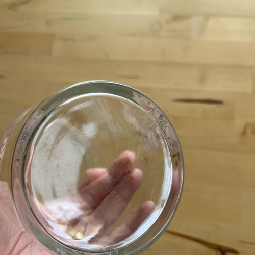 Glass bulb vase used with botanical detail