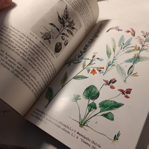 Modern Complete Herbal Therapeutics used, general phytotherapy