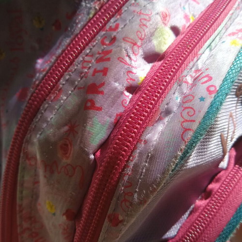GIM Disney Princess school anatomical backpack used