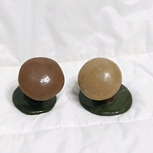 Handmade mushroom decor from polymer clay Fimo