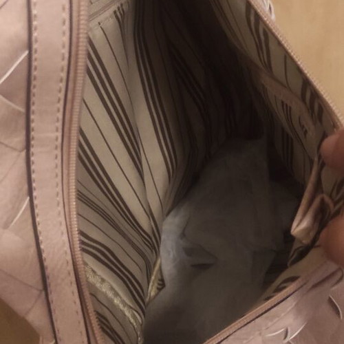 soft pink backpack unused